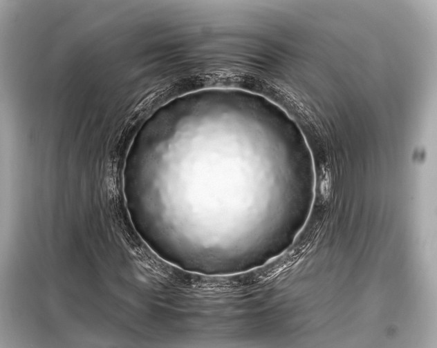 X0000099430819200805161108