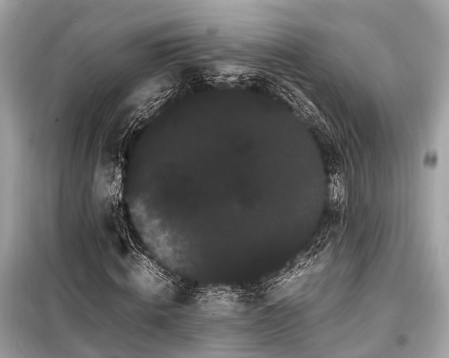 X0000099430820200805161108