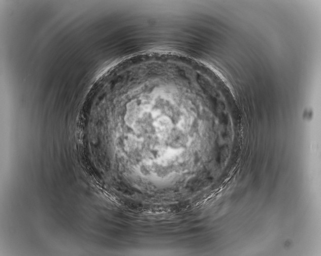 X0000099430823200805161108