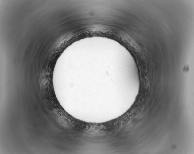 X0000099430824200805161108