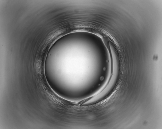 X0000099430825200805161108
