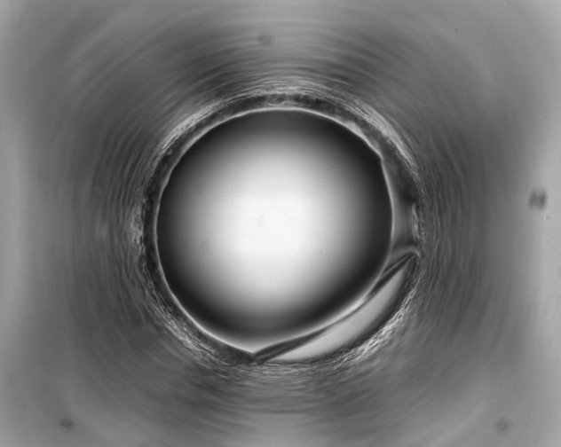 X0000099430826200805161108