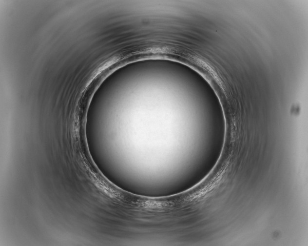 X0000099430827200805161108