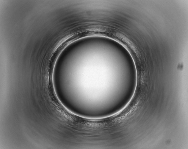 X0000099430829200805161108