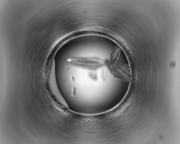 X0000099430830200805161108