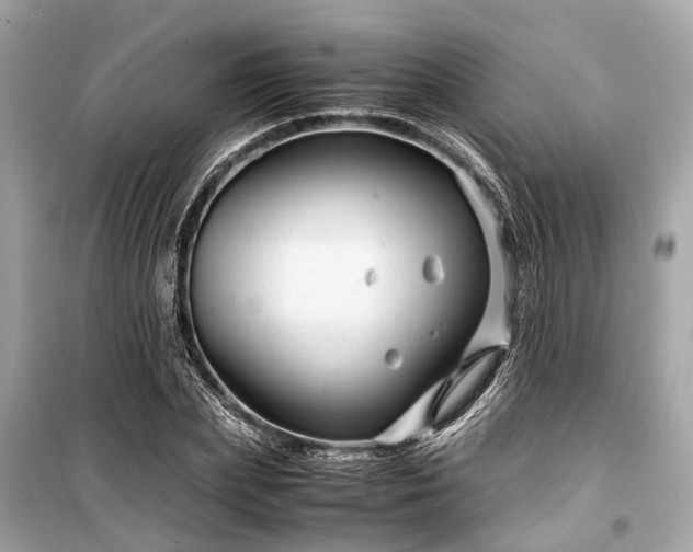 X0000099430831200805161108