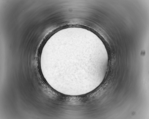 X0000099430832200805161108