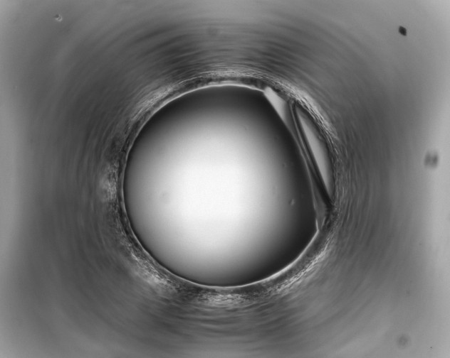 X0000099430833200805161108