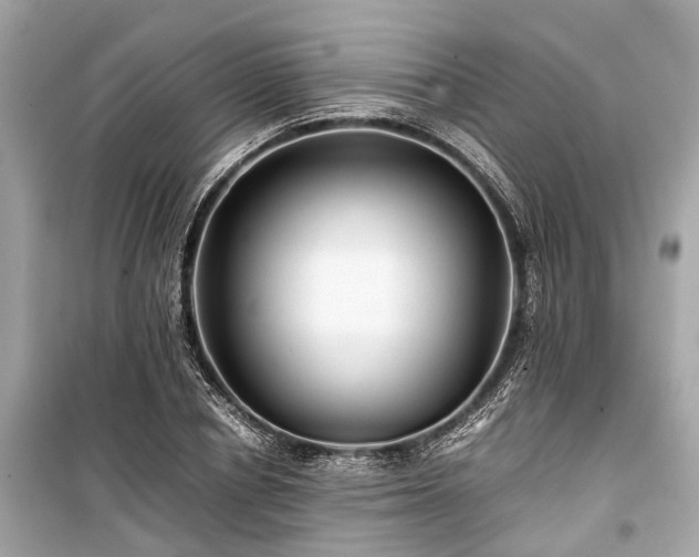 X0000099430834200805161108