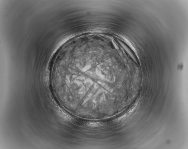 X0000099430835200805161108