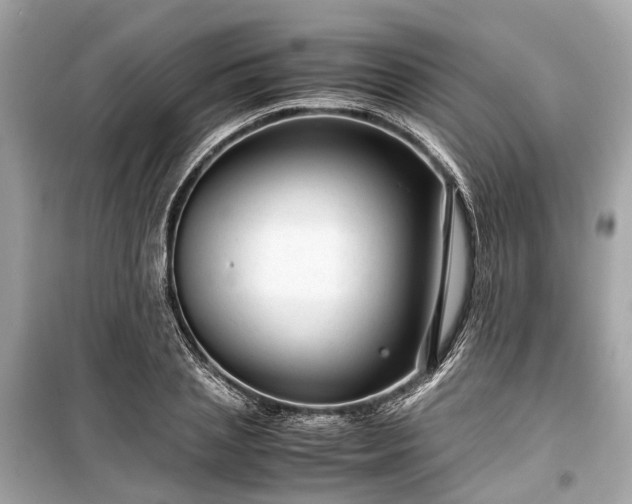 X0000099430837200805161108