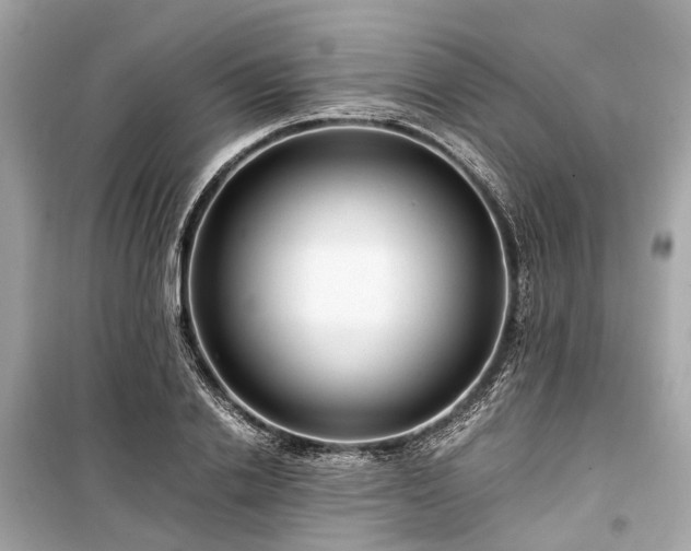 X0000099430838200805161108