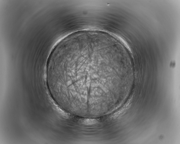 X0000099430839200805161108