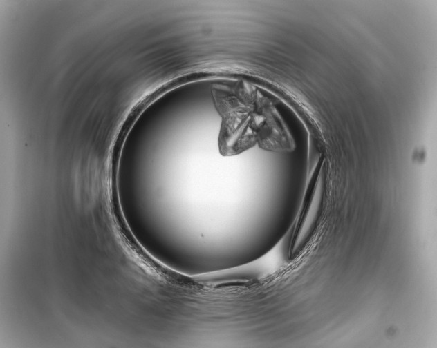 X0000099430840200805161108