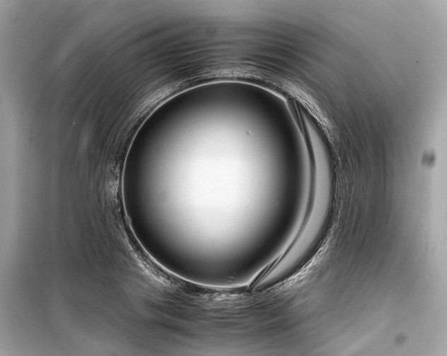X0000099430841200805161108