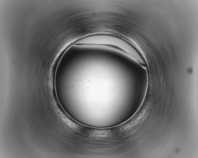 X0000099430843200805161108