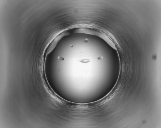 X0000099430844200805161108