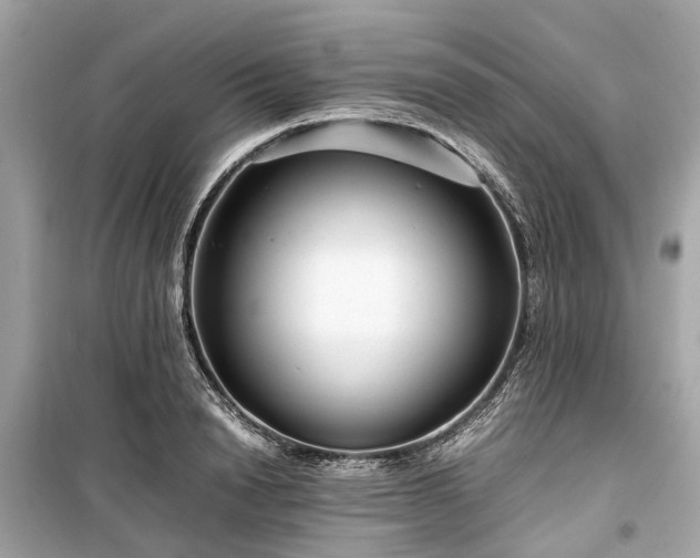 X0000099430846200805161108