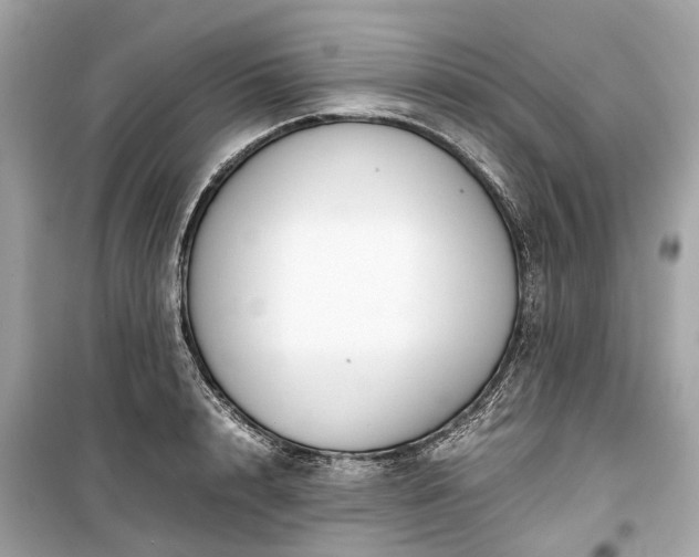 X0000099430848200805161108