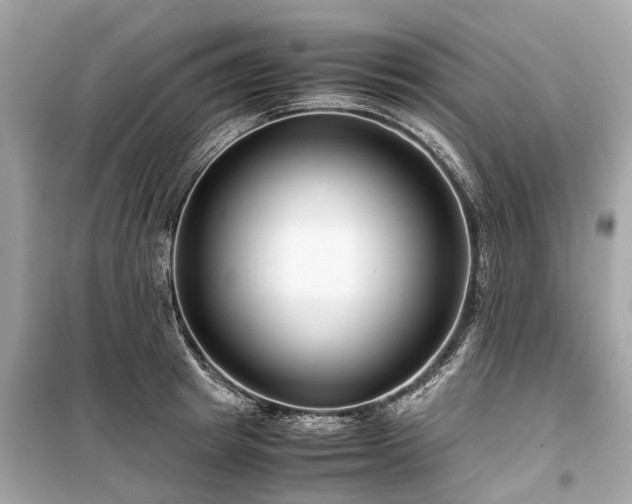 X0000099430849200805161108