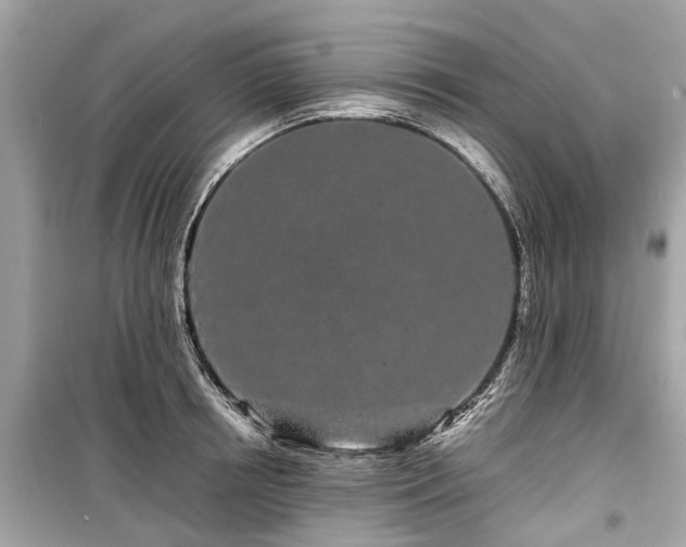 X0000099430850200805161108