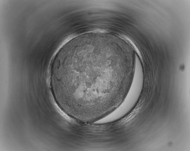 X0000099430851200805161108
