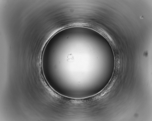 X0000099430852200805161108