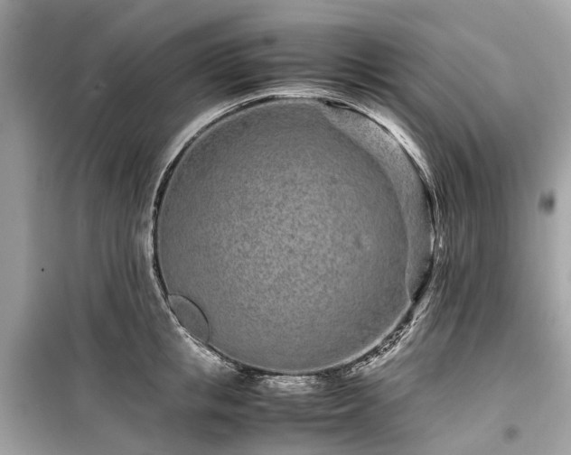 X0000099430853200805161108