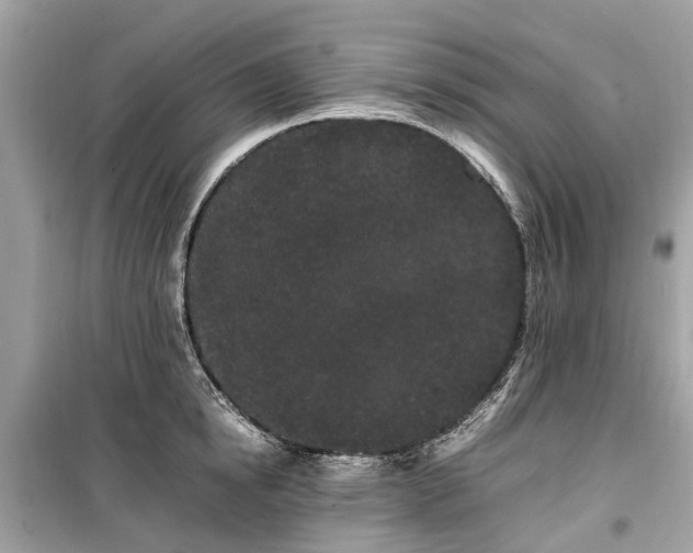 X0000099430854200805161108