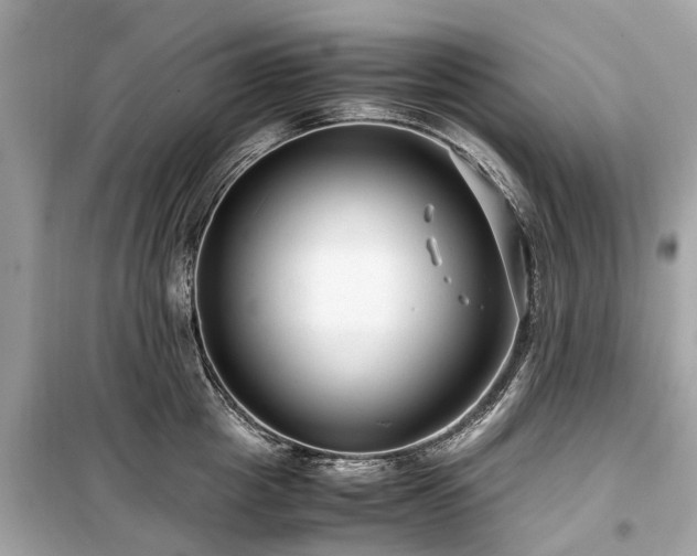 X0000099430857200805161108