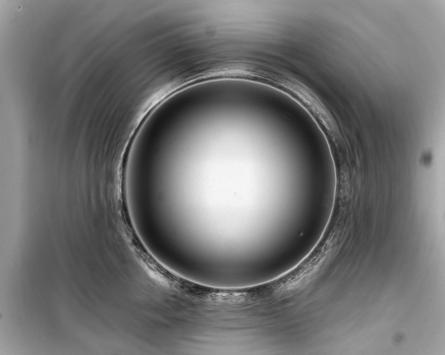 X0000099430858200805161108