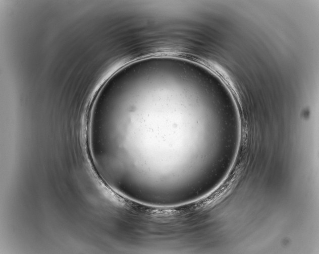X0000099430859200805161108
