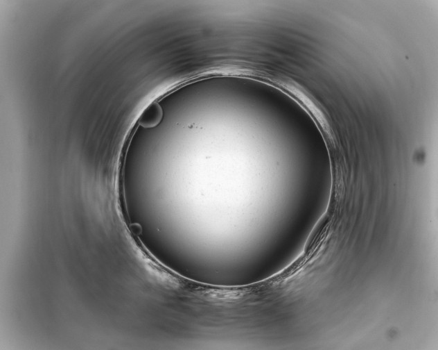 X0000099430861200805161108