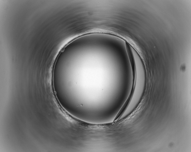 X0000099430862200805161108