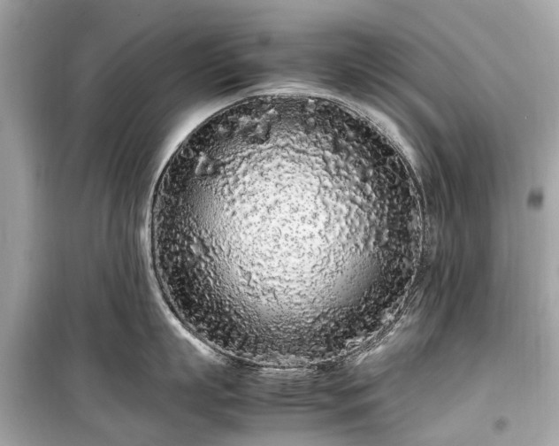 X0000099430863200805161108