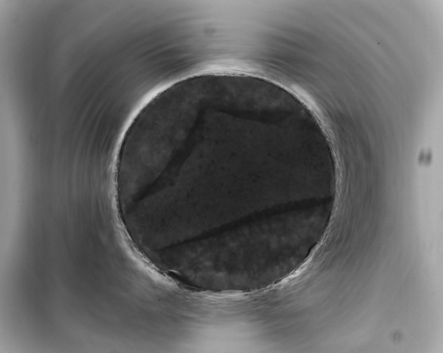 X0000099430864200805161108