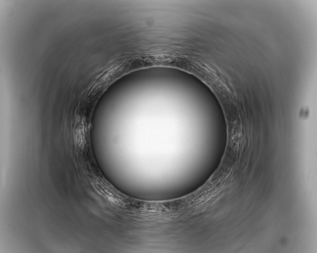 X0000099430866200805161108