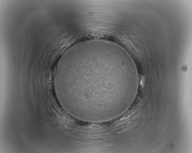 X0000099430867200805161108