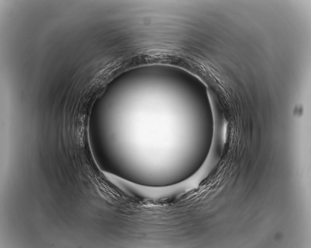 X0000099430868200805161108