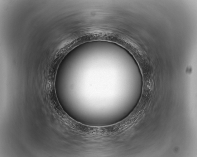X0000099430869200805161108