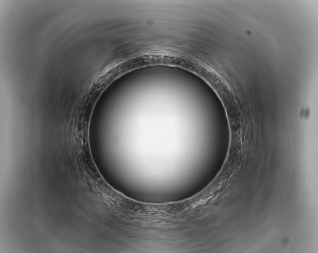X0000099430870200805161108