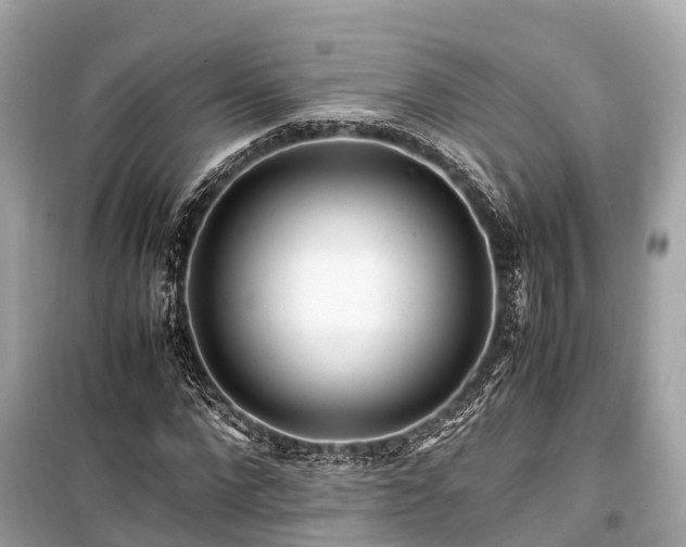 X0000099430872200805161108