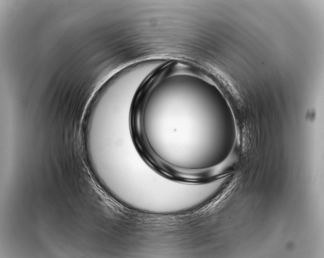 X0000099430876200805161108