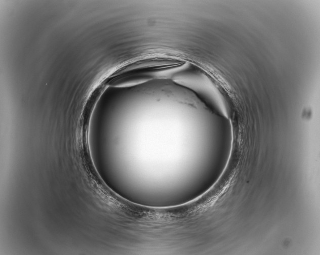 X0000099430877200805161108