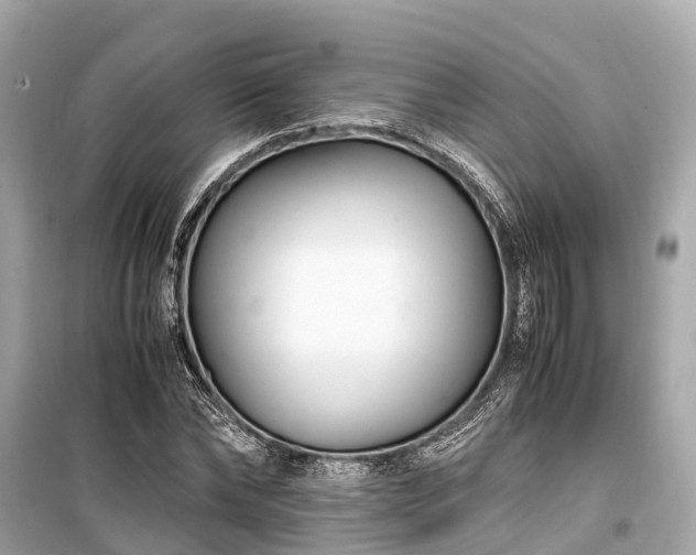 X0000099430878200805161108