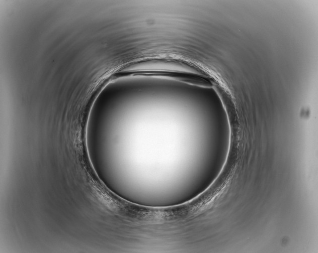 X0000099430881200805161108