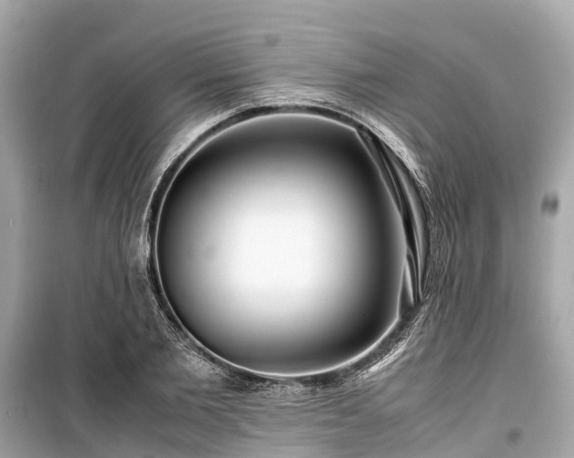 X0000099430885200805161108