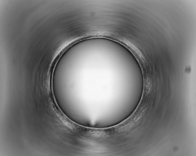 X0000099430886200805161108