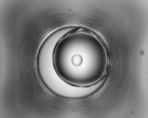 X0000099430887200805161108