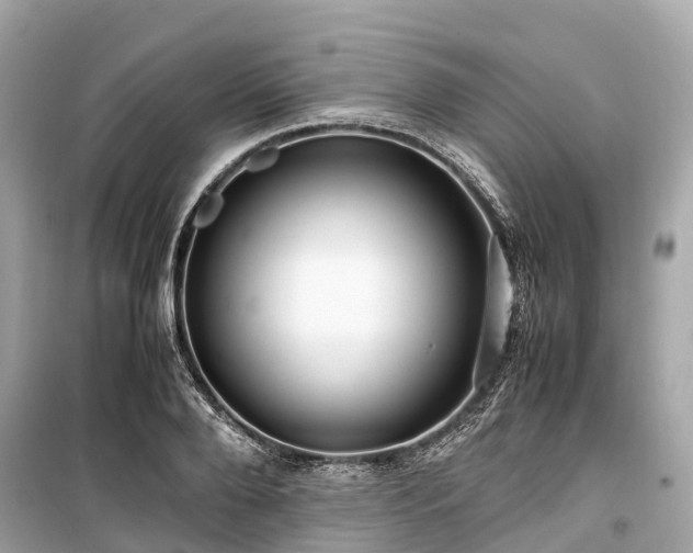X0000099430888200805161107